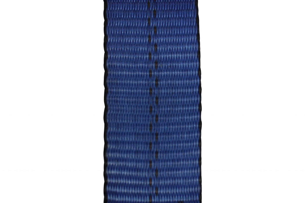 2" x 10' Blue Strap with Wire Hook