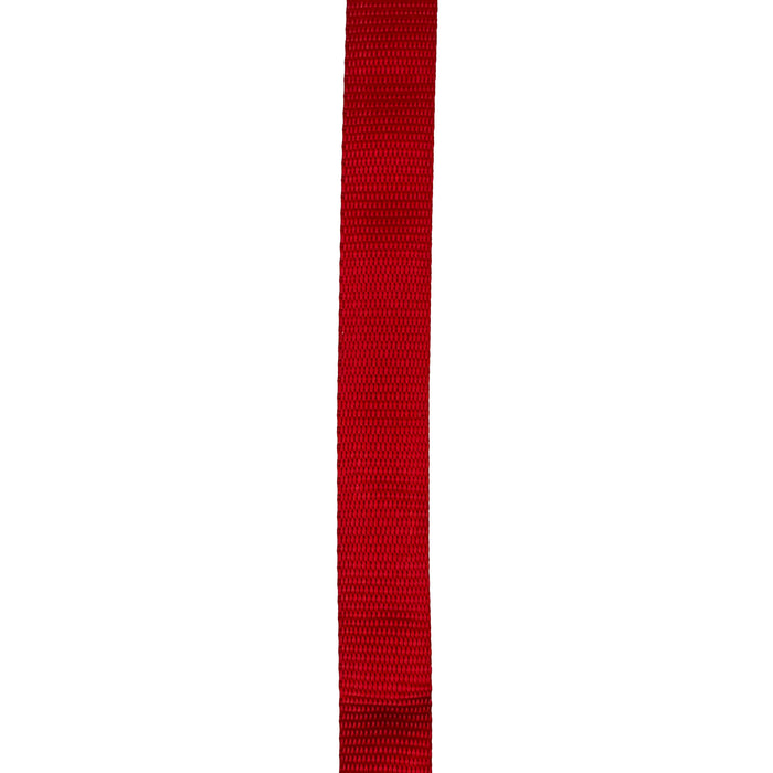 1" x 6' Ratchet Straps with S-Hooks